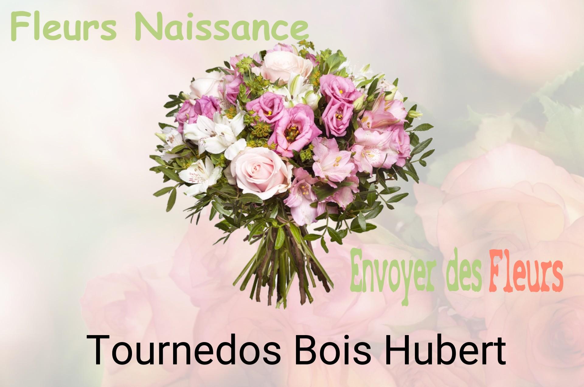 Bouquet de fleurs de naissance livré à Tournedos-Bois-Hubert